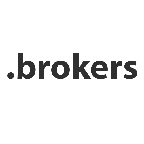 Registrar el dominio en la zona .brokers