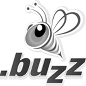 Registrar el dominio en la zona .buzz