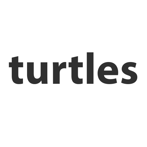 Registrar el dominio en la zona .turtles
