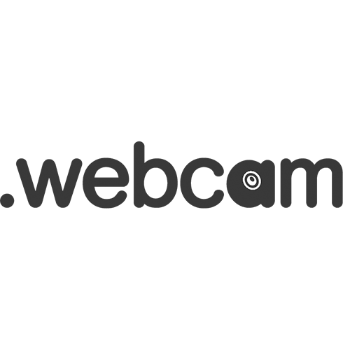 Registrar el dominio en la zona .webcam