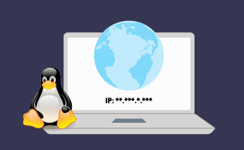 Guía rápida para configurar una dirección IP estática temporal en Linux