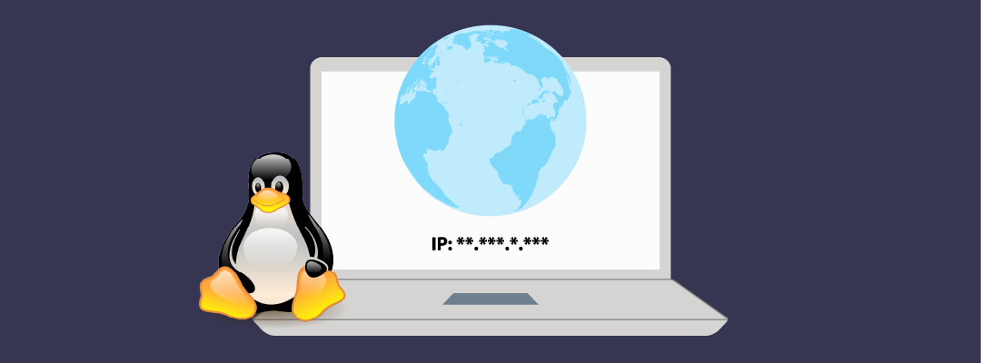 Guía rápida para configurar una dirección IP estática temporal en Linux