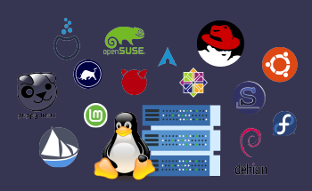 ¿Qué distribución de Linux es la mejor para instalar en el servidor en 2022?