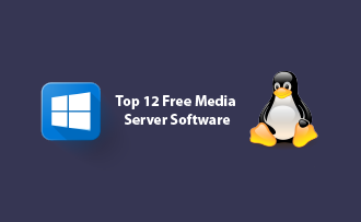 Los 12 mejores servidores multimedia gratuitos para Windows y Linux