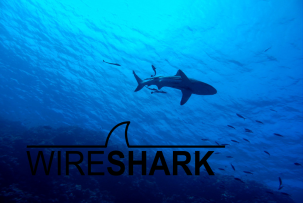 Lanzamiento de Wireshark 4.4.7