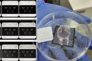 Construcción de centros de datos con células cerebrales humanas