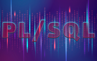 Dentro de PL/SQL: componentes básicos y cómo funcionan juntos