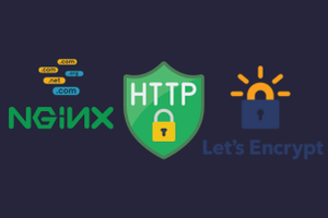 Adopte la comunicación web segura: Wildcard HTTPS con Let's Encrypt y Nginx