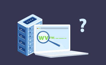 How to find the hosting provider of the website?