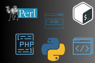 Ejemplos de Shell Script Wrappers: Mejora de los comandos Ping y Host