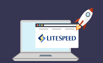 Servidor web Litespeed y caché